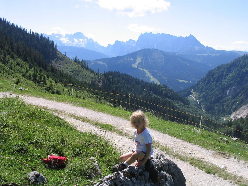 Appartementhaus Oberlehen Abtenau Buitenkant foto